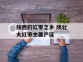 陕西的红枣之乡 陕北大红枣主要产区