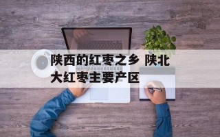 陕西的红枣之乡 陕北大红枣主要产区