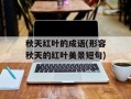 秋天红叶的成语(形容秋天的红叶美景短句)