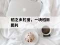 稻之乡的图，一块稻田图片