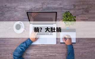 腩？大肚腩