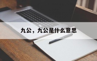 九公，九公是什么意思