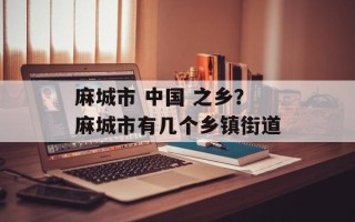 麻城市 中国 之乡？麻城市有几个乡镇街道