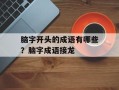 脑字开头的成语有哪些？脑字成语接龙