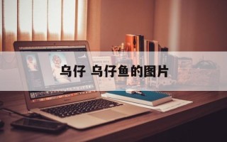乌仔 乌仔鱼的图片