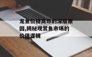 龙鱼价格高昂的深层原因,揭秘观赏鱼市场的价值逻辑