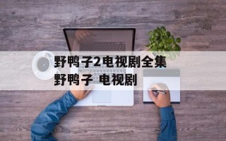 野鸭子2电视剧全集 野鸭子 电视剧