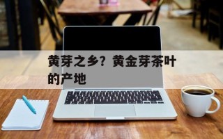 黄芽之乡？黄金芽茶叶的产地