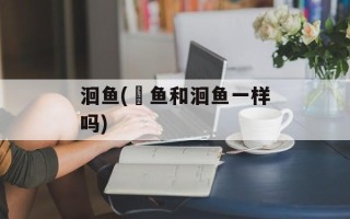 洄鱼(鮰鱼和洄鱼一样吗)
