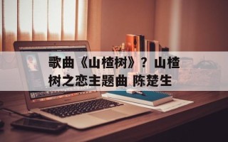 歌曲《山楂树》？山楂树之恋主题曲 陈楚生
