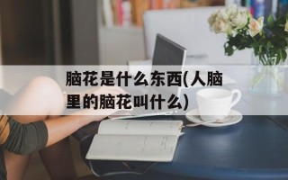 脑花是什么东西(人脑里的脑花叫什么)
