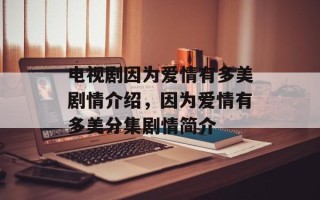 电视剧因为爱情有多美剧情介绍，因为爱情有多美分集剧情简介