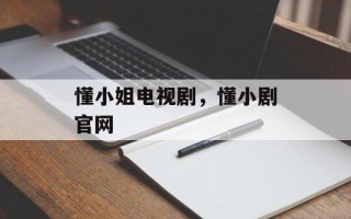 懂小姐电视剧，懂小剧官网