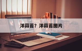洋蒜苔？洋蒜苔图片