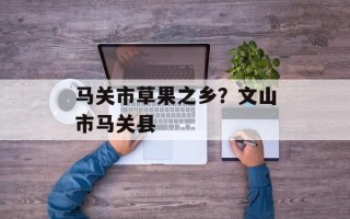 马关市草果之乡？文山市马关县