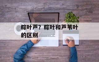 粽叶芦？粽叶和芦苇叶的区别