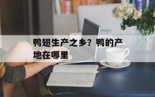 鸭翅生产之乡？鸭的产地在哪里