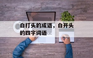 白打头的成语，白开头的四字词语