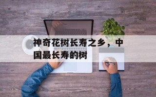 神奇花树长寿之乡，中国最长寿的树