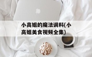 小高姐的魔法调料(小高姐美食视频全集)