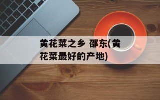 黄花菜之乡 邵东(黄花菜最好的产地)