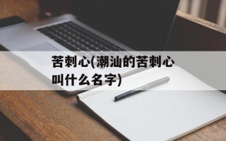 苦刺心(潮汕的苦刺心叫什么名字)