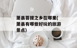 萧县菩提之乡在哪里(萧县有哪些好玩的旅游景点)