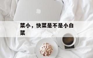 菜小，快菜是不是小白菜