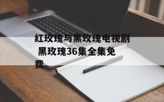 红玫瑰与黑玫瑰电视剧 黑玫瑰36集全集免费