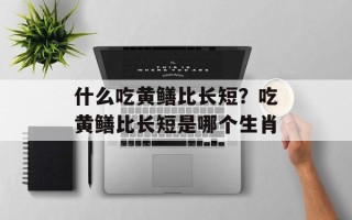 什么吃黄鳝比长短？吃黄鳝比长短是哪个生肖