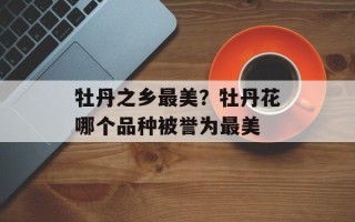 牡丹之乡最美？牡丹花哪个品种被誉为最美
