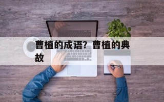 曹植的成语？曹植的典故