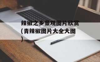 辣椒之乡景观图片欣赏(青辣椒图片大全大图)