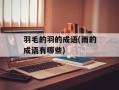 羽毛的羽的成语(雨的成语有哪些)