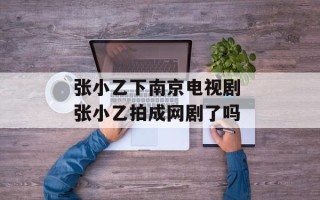 张小乙下南京电视剧 张小乙拍成网剧了吗