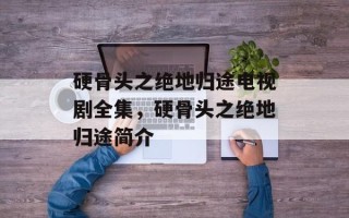 硬骨头之绝地归途电视剧全集，硬骨头之绝地归途简介