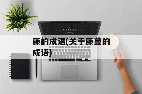 藤的成语(关于藤蔓的成语)-第1张图片-