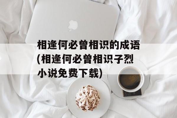 相逢何必曾相识的成语(相逢何必曾相识子烈小说免费下载)-第1张图片-