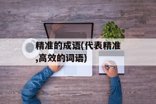精准的成语(代表精准,高效的词语)-第1张图片-