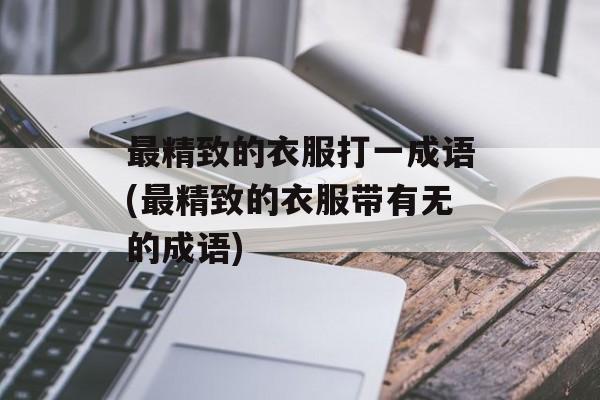 最精致的衣服打一成语(最精致的衣服带有无的成语)-第1张图片-