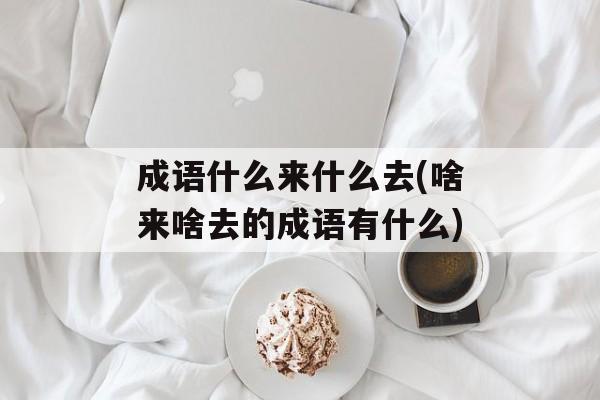 成语什么来什么去(啥来啥去的成语有什么)-第1张图片-