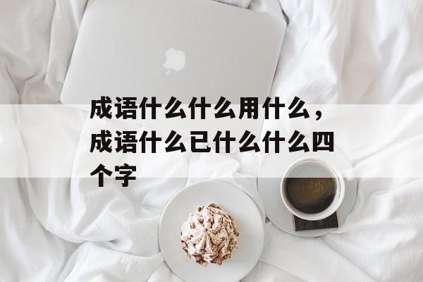 成语什么什么用什么，成语什么已什么什么四个字-第1张图片-