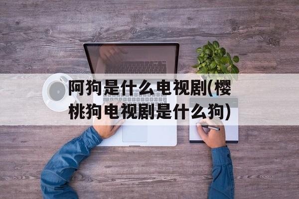 阿狗是什么电视剧(樱桃狗电视剧是什么狗)-第1张图片-