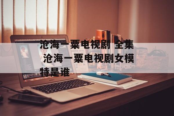 沧海一粟电视剧 全集 沧海一粟电视剧女模特是谁-第1张图片-