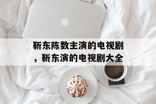 靳东陈数主演的电视剧，靳东演的电视剧大全-第1张图片-