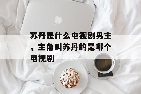 苏丹是什么电视剧男主，主角叫苏丹的是哪个电视剧-第1张图片-