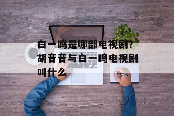 白一鸣是哪部电视剧？胡音音与白一鸣电视剧叫什么-第1张图片-