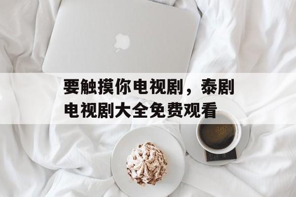 要触摸你电视剧，泰剧电视剧大全免费观看-第1张图片-