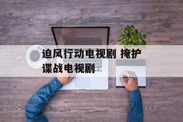 迫风行动电视剧 掩护谍战电视剧-第1张图片-