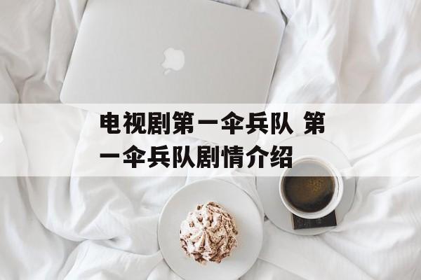 电视剧第一伞兵队 第一伞兵队剧情介绍-第1张图片-